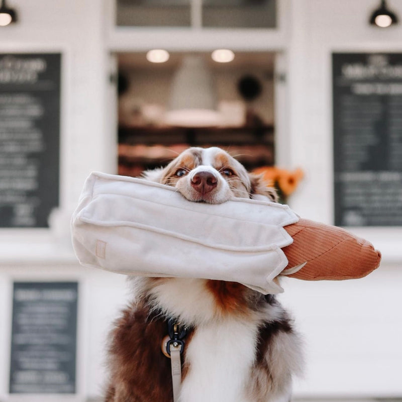 BAGUETTE - Enrichment and Interactive Dog Toy