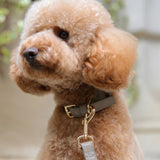 SABLE COLLAR