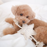 HOLIDAY STAR - Lambwolf Collective