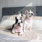 Blush Picnic Dog Bandana