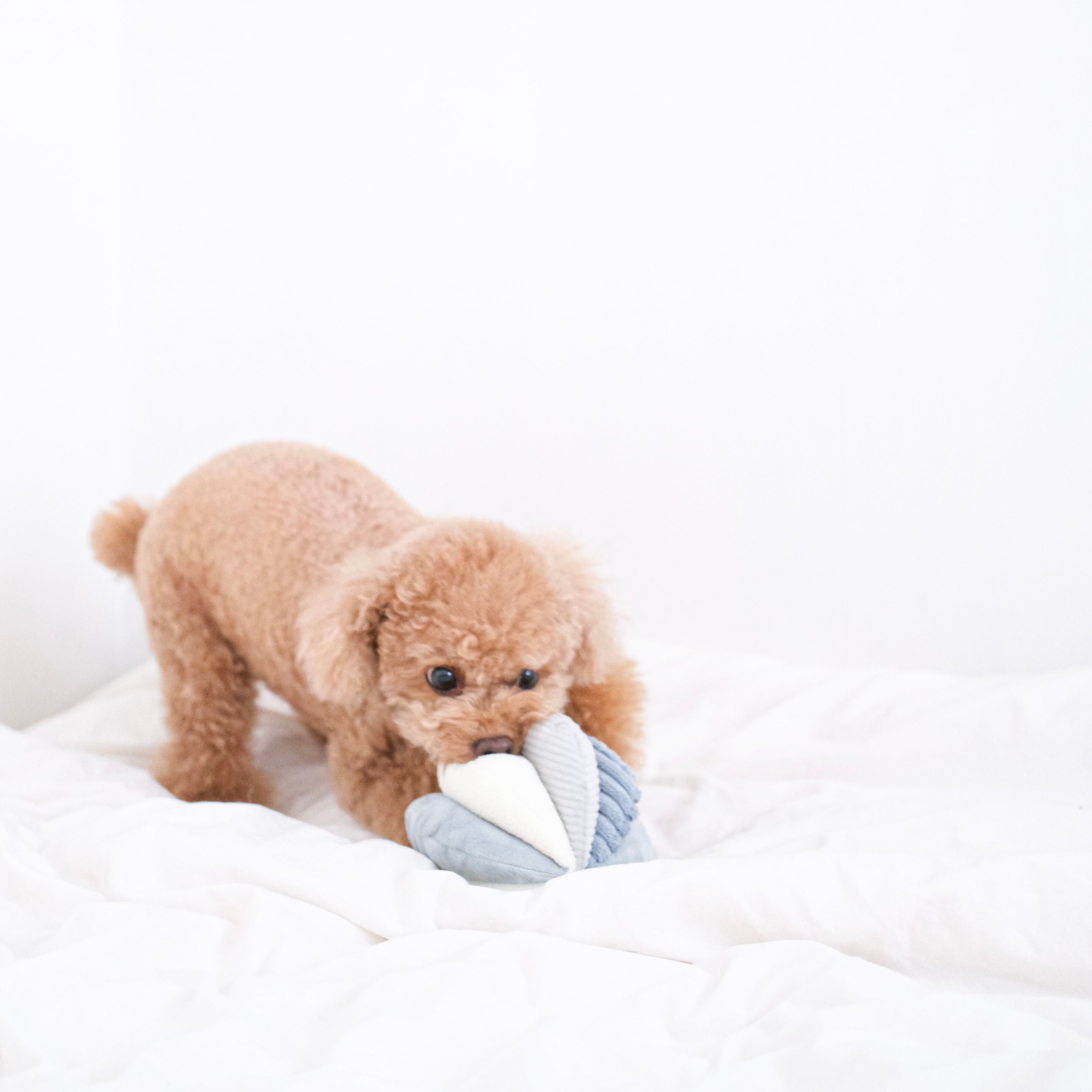 TOTO - Lambwolf Collective