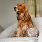 MONTI - Lambwolf Collective