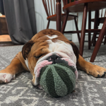 WATERMELON POP - Lambwolf Collective