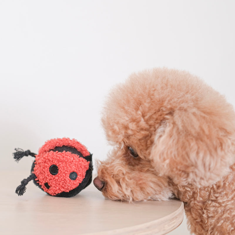 Ladybug pop interactive Dog toys enrichment dog toys squeaker snuffle dog toys