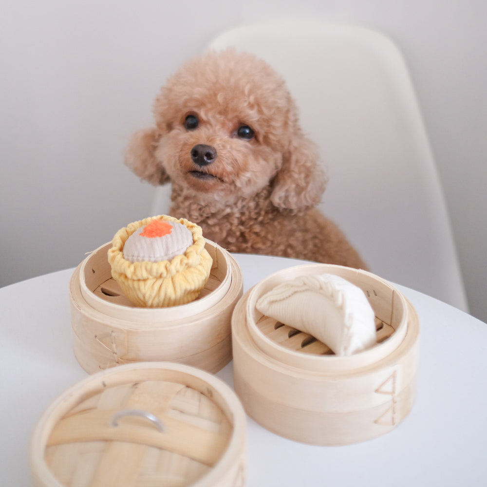 DIM SUM Enrichment and Interactive Dog Toy - Main Image