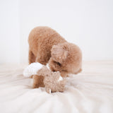 FOX POP - Lambwolf Collective