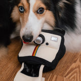 INSTANT CAMERA - Lambwolf Collective