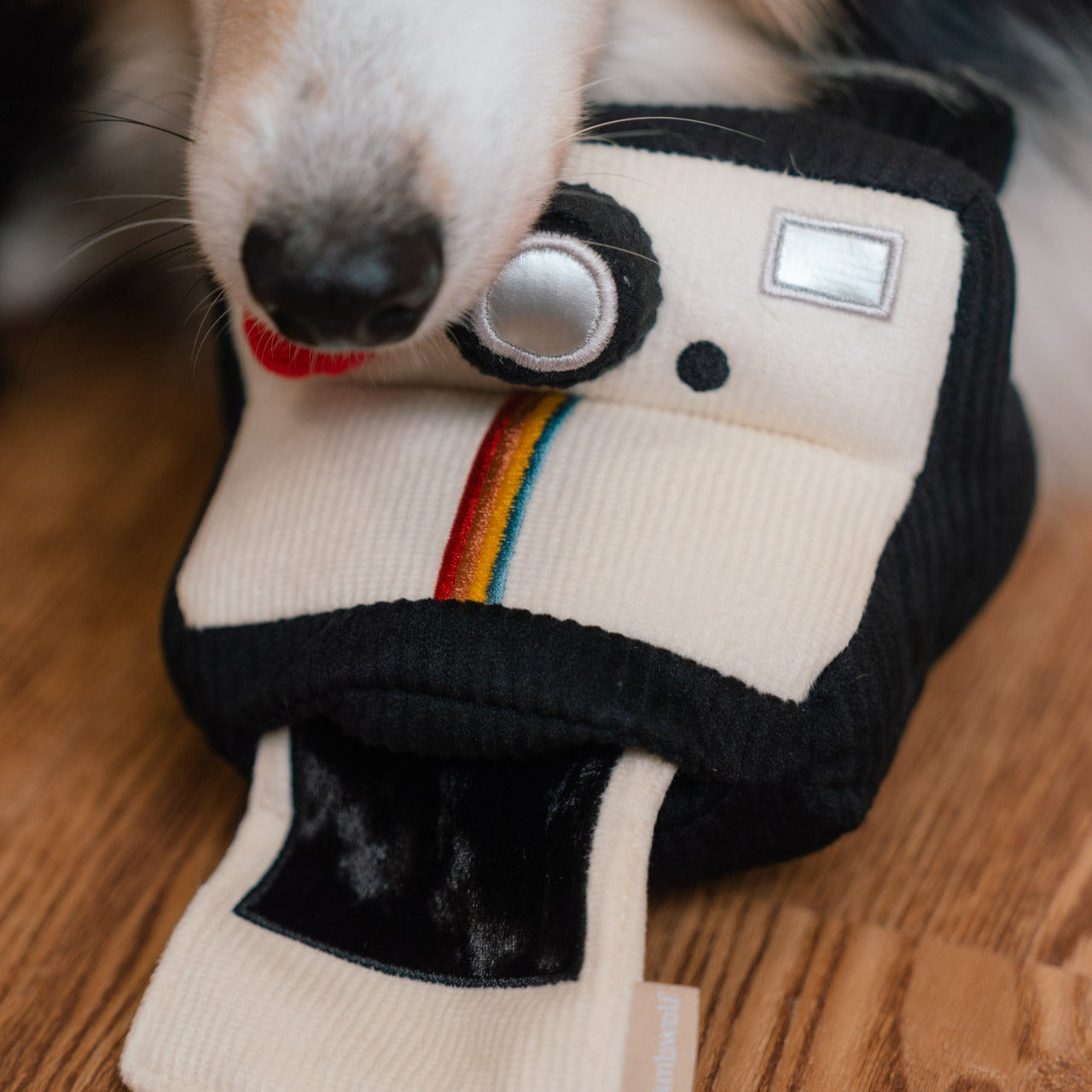 INSTANT CAMERA