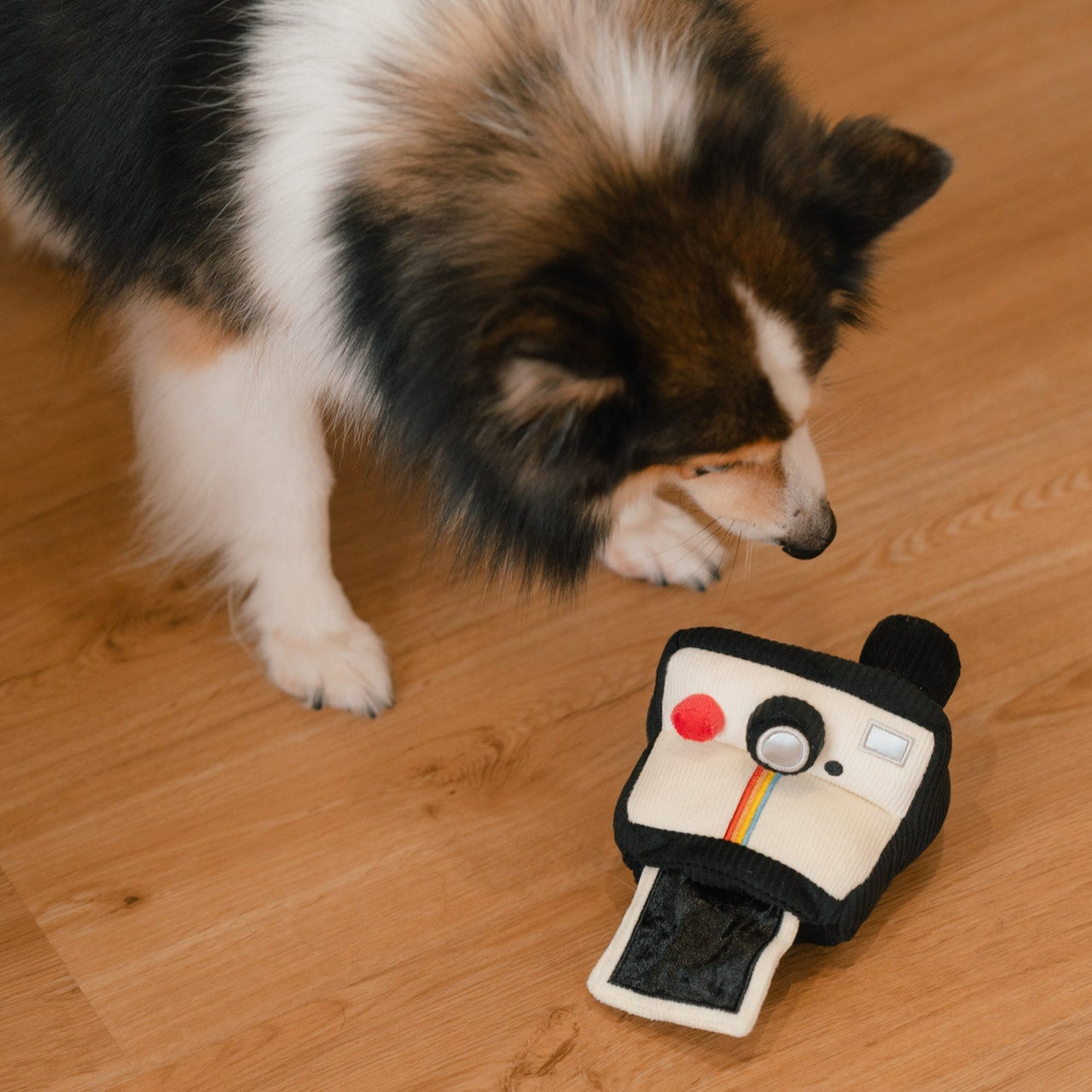 INSTANT CAMERA
