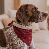POPPY Dog Bandana