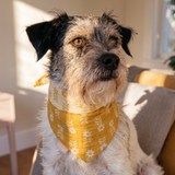 Sawyer Dog Bandana