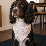 Hazel Dog Bandana