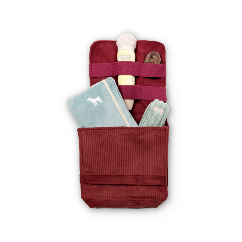 BACK TO SCHOOL - Lambwolf Collective