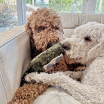 MERLOT - Lambwolf Collective