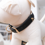 NOIR COLLAR
