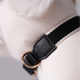 NOIR COLLAR