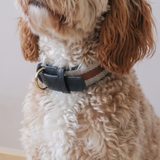 MANOR COLLAR