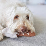 MINI BAGUETTE - Lambwolf Collective