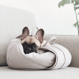 OLLA - Lambwolf Collective