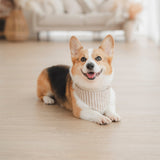 Mocha Stripe Dog Bandana