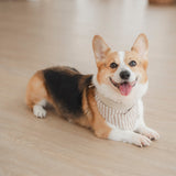 Mocha Stripe Dog Bandana