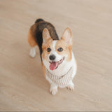 Mocha Stripe Dog Bandana