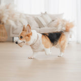 Mocha Stripe Dog Bandana