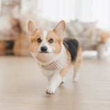 Mocha Stripe Dog Bandana