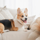Mocha Stripe Dog Bandana