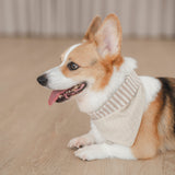 Mocha Stripe Dog Bandana
