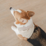 Mocha Stripe Dog Bandana