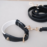 CLASSIC LEASH
