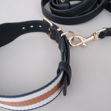 CLASSIC LEASH