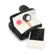 INSTANT CAMERA - Enrichment and Interactive Dog Toy | Puzzle Dog