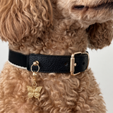 Papillon Collar Charm