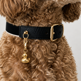 Duck Collar Charm