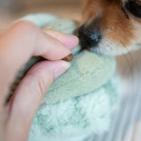 TOTO - Lambwolf Collective