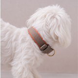 SABLE COLLAR