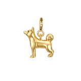 Shiba