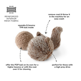 Eichhörnchen POP