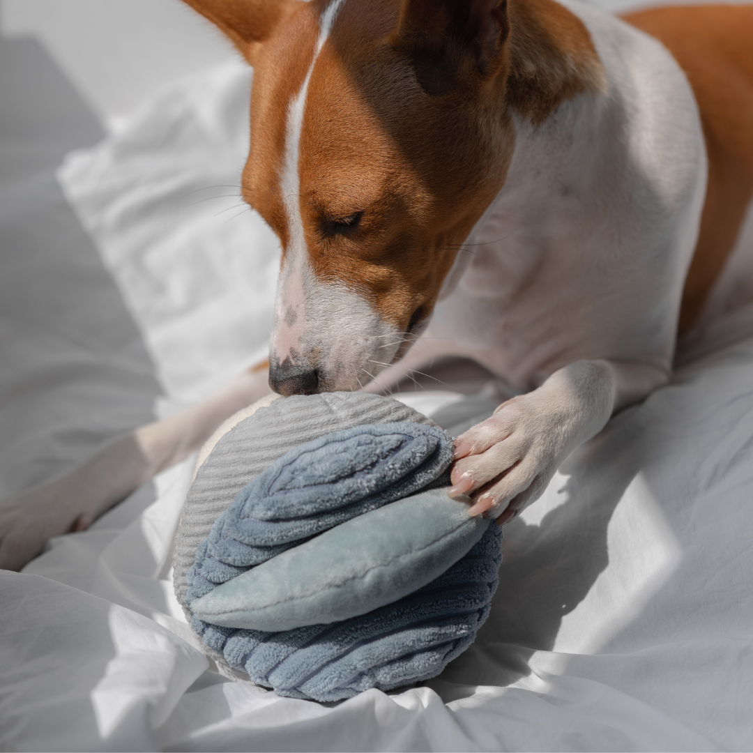 TOTO - Enrichment and Interactive Dog Toy | Puzzle Dog Toy TOTO - Enrichment and Interactive Dog Toy | Puzzle Dog Toy