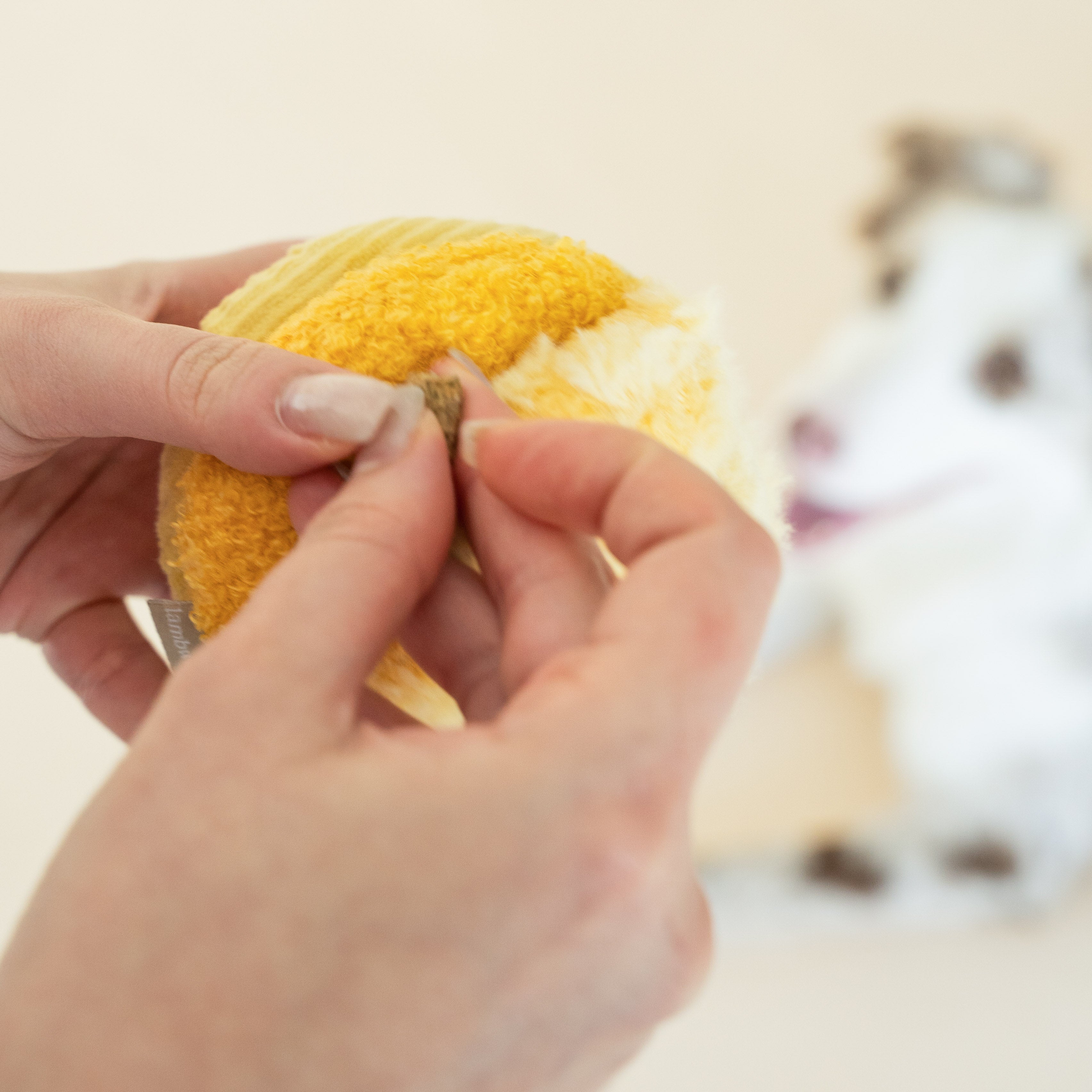 TOTO - Lambwolf Collective