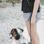 MELLEM + REI - Lambwolf Collective