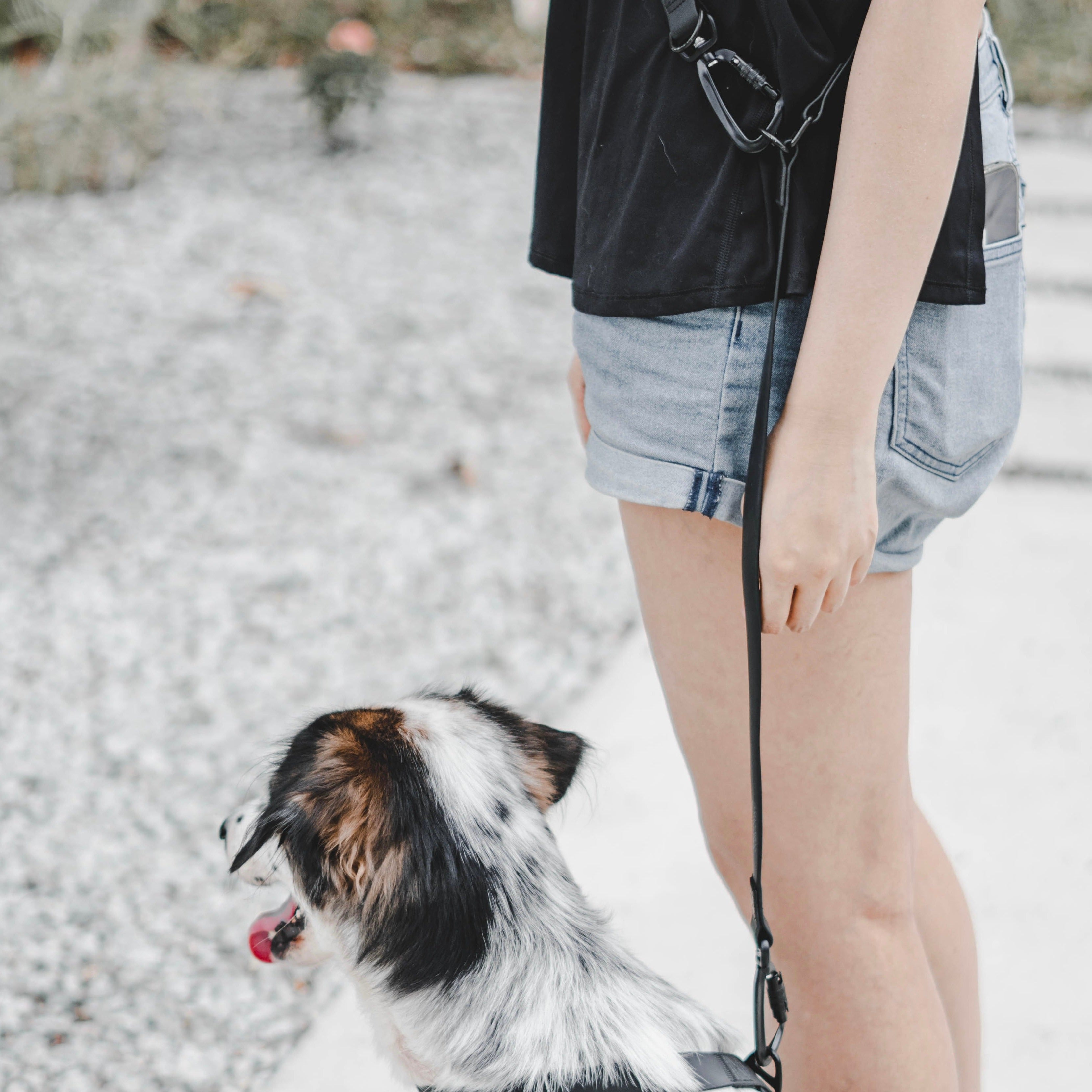 MELLEM + REI - Lambwolf Collective