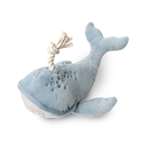 Wally The Whale