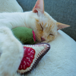 OLIVE + FIG - Lambwolf Collective