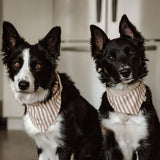 Mocha Stripe Dog Bandana