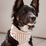 Mocha Stripe Dog Bandana