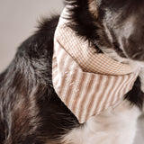 Mocha Stripe Dog Bandana