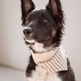 Mocha Stripe Dog Bandana